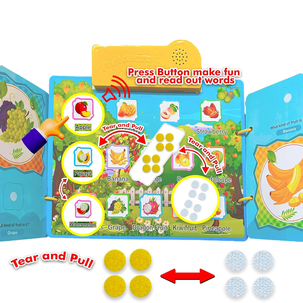 DIY Point Reading Book – Panda World