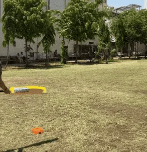 Solo Swing Pro (Tennis & Cricket Practice) – Panda World